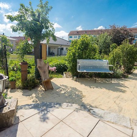 Ferienhaus-Geiserich Blankenburg  Exteriör bild